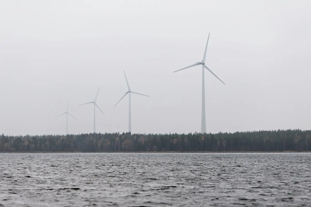 Biały styropian to gąbka, a nie tarcza